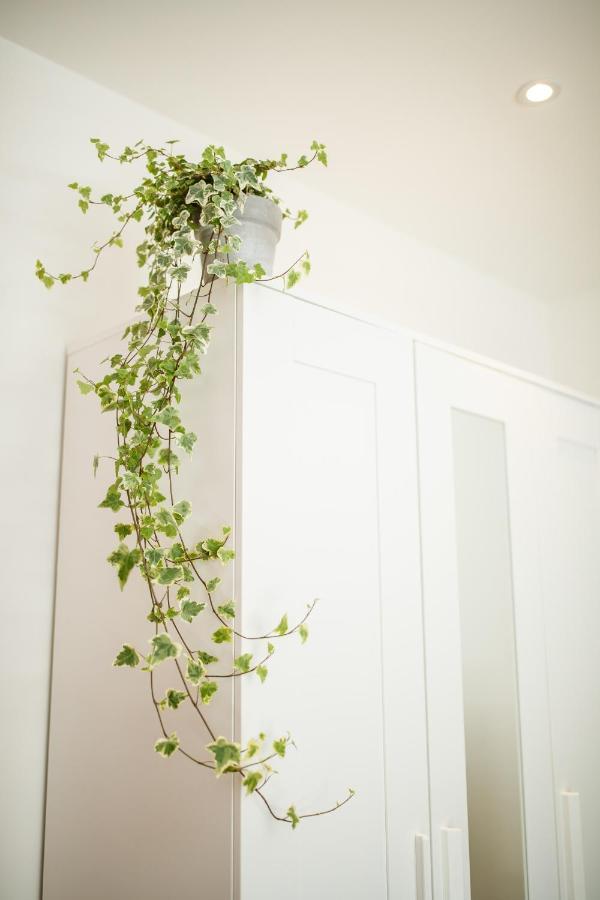 Trendy Design 55M2 Apartment With Balcony - Db6B デン・ボッシュ エクステリア 写真